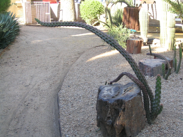 618x457 pixels (243K)